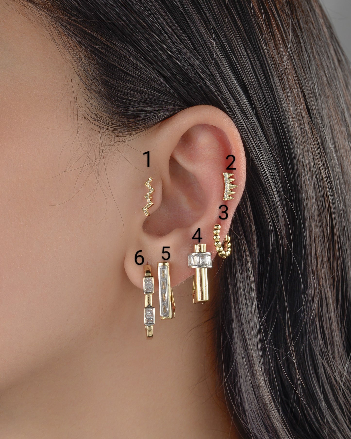 Earrings