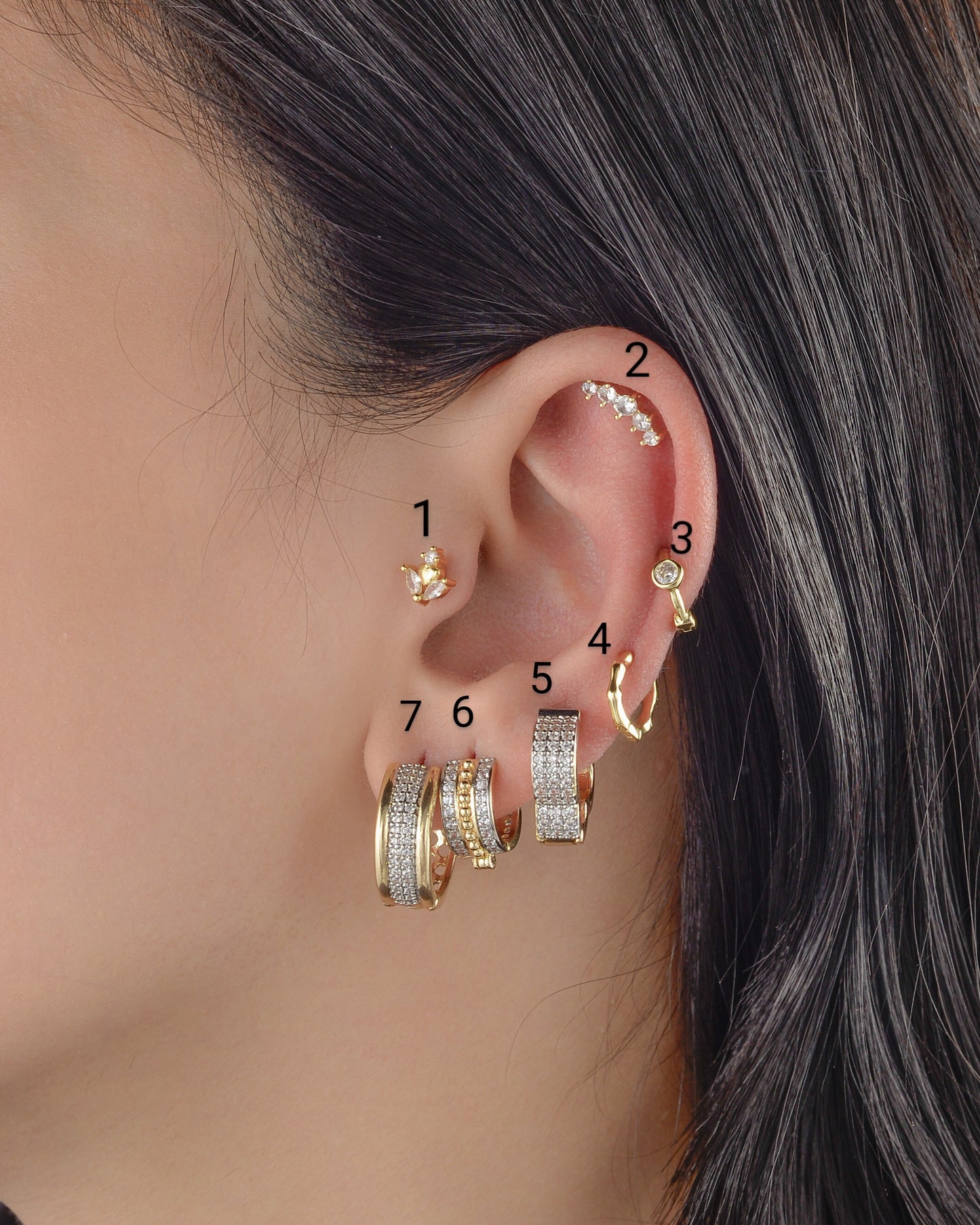 Earrings