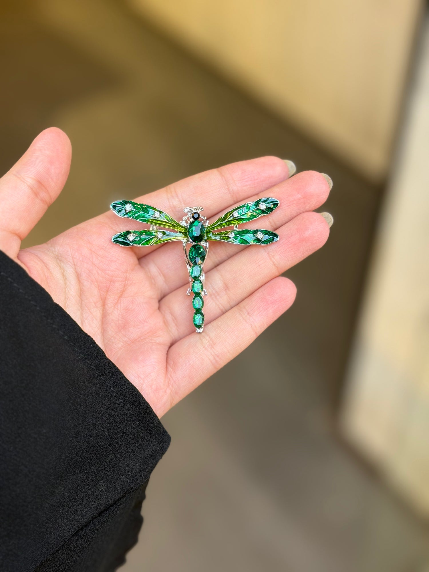 Brooches