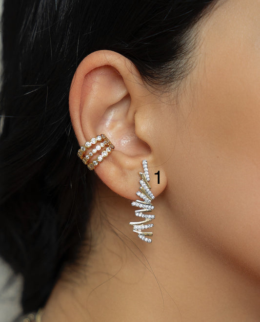 Earring