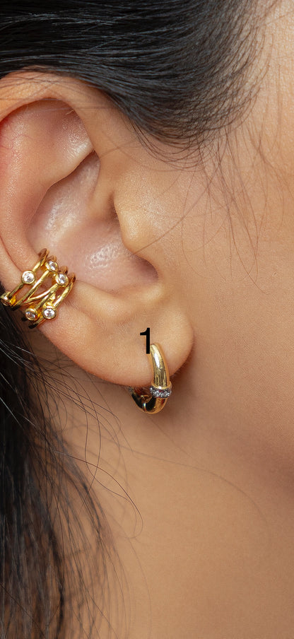 Earring