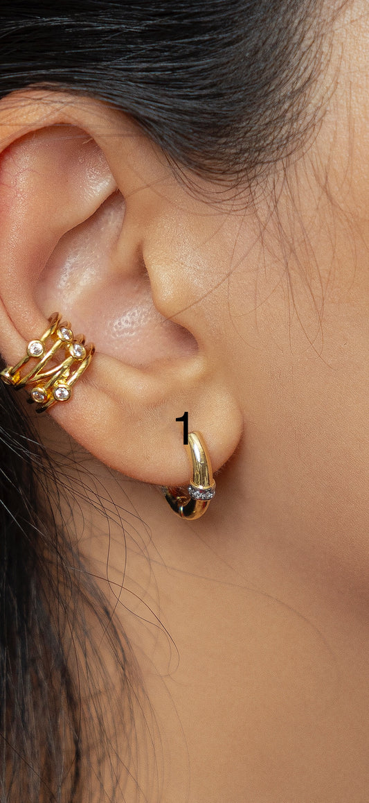 Earring