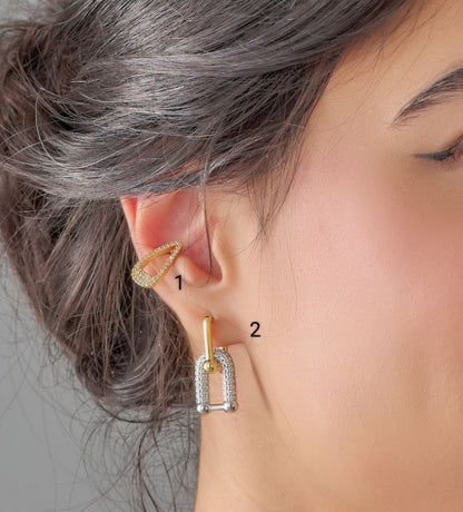 Earrings