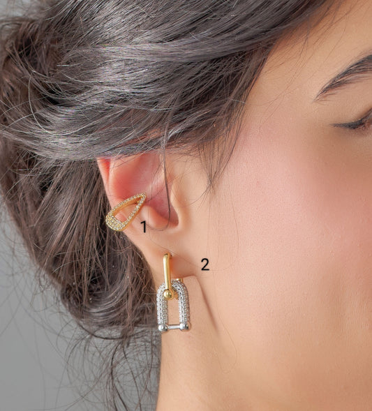 Earrings