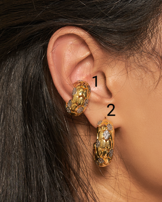 Earrings