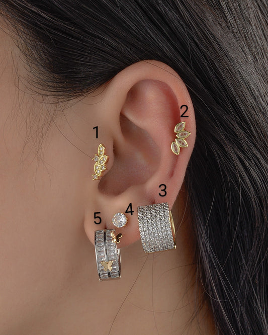 Earrings