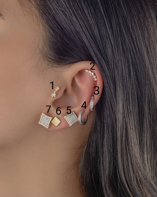 Earrings