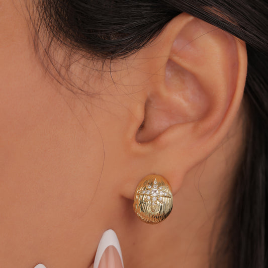 Earrings E101
