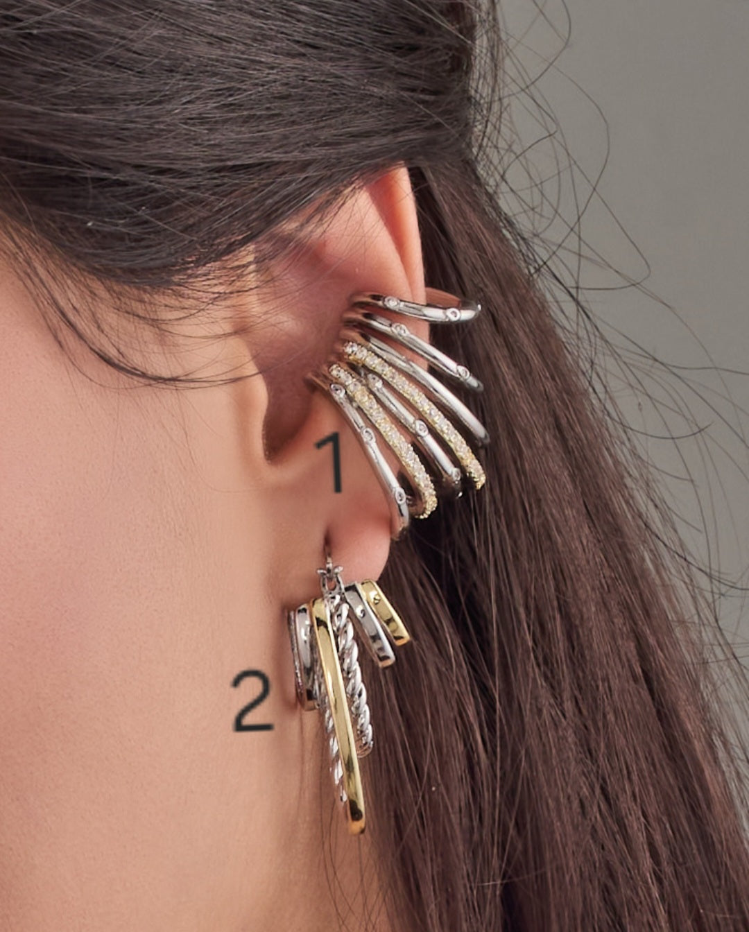 Earrings