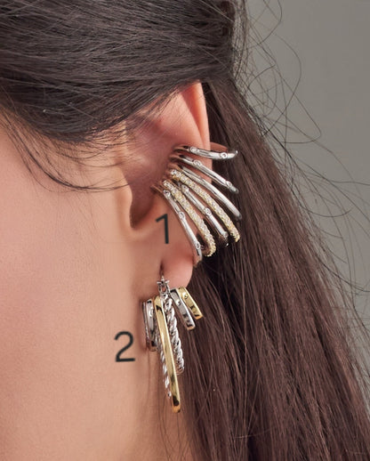 Earrings