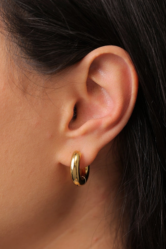 Earrings E91