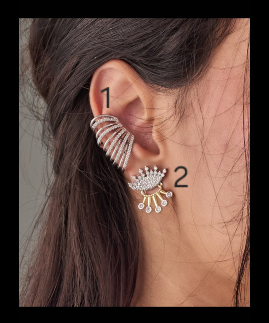 Earrings