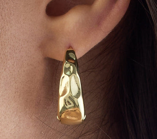 Earrings E60
