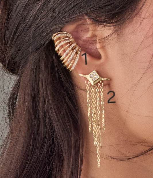 Earrings